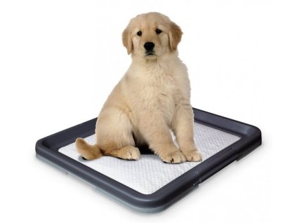 14544 1 nobby doggy trainer l plastove wc na podlozky pro stenata 62 5 x 48 x 3 8 cm z kategorie chovatelske potreby a krmiva pro psy hygiena a kosmetika psa toalety a podlozky pro psy