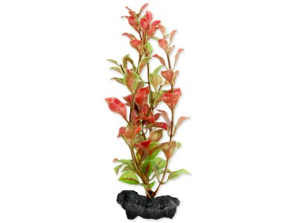 61115 1 rostlina tetra red ludwigia s 1 ks z kategorie akvaristicke a teraristicke potreby akvarijni technika