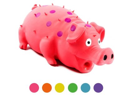 54210 1 hracka multipet chrochtajici prase latex 23 cm 1 ks z kategorie chovatelske potreby a krmiva pro psy hracky pro psy latexove hracky pro psy