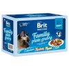 91537 brit premium cat d fillets in gravy family plate 1020g 12x85g