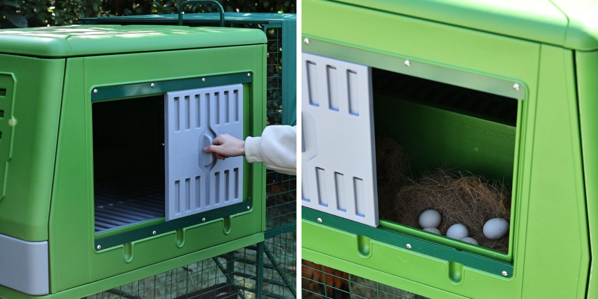 mobilni-kurnik-pro-slepice-gaun-10365-the-egg-loft-snaskove-hnizdo
