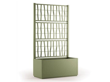 Truhlik olivove zeleny mrizka 1