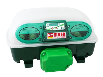 lihen na vejce river systems et 24 automatic s dolihni drubeze 1
