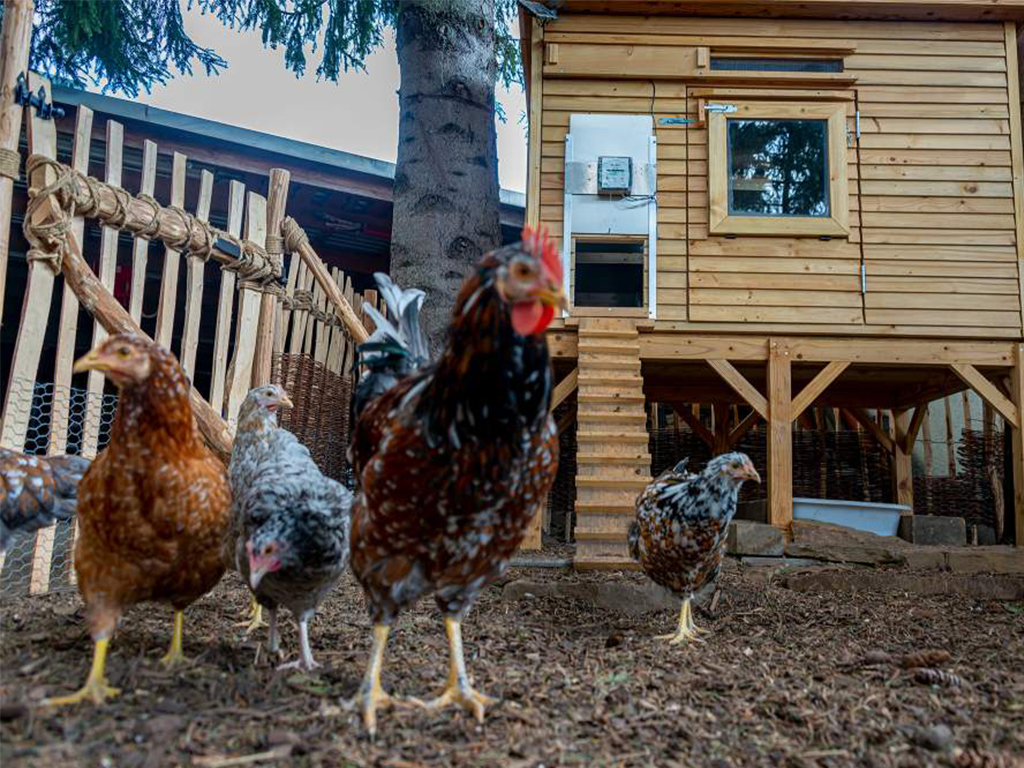 Komplet automatického otevírání a zavírání kurníku JOSTechnik HK-Bat 23x34 R