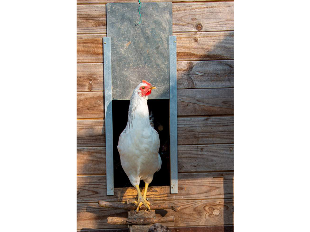 Komplet automatického otevírání a zavírání kurníku JOSTechnik HK-Bat 23x34 D