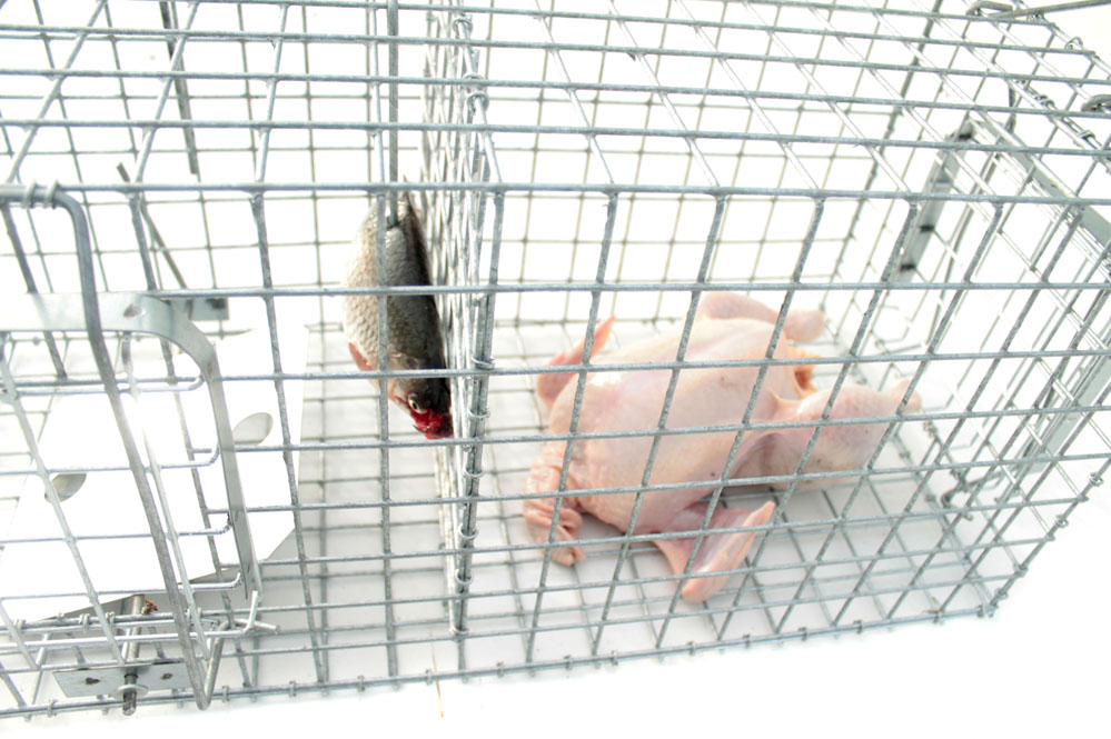 Profesionální past na lišky, kuny, vydry a kočky TRAP ST130x34x34K