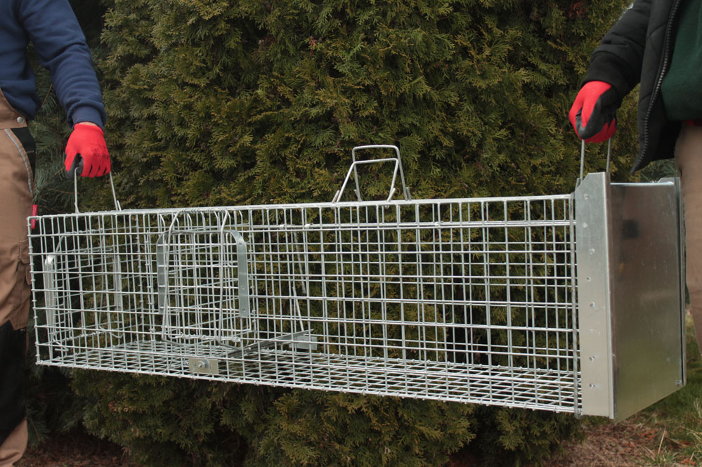 Profesionální past na lišky, kuny, vydry a kočky TRAP ST130x34x34K