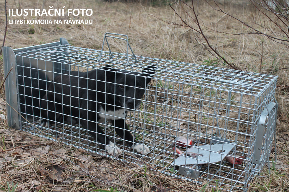 Profesionální past na lišky, kuny, vydry a kočky TRAP ST130x34x34K