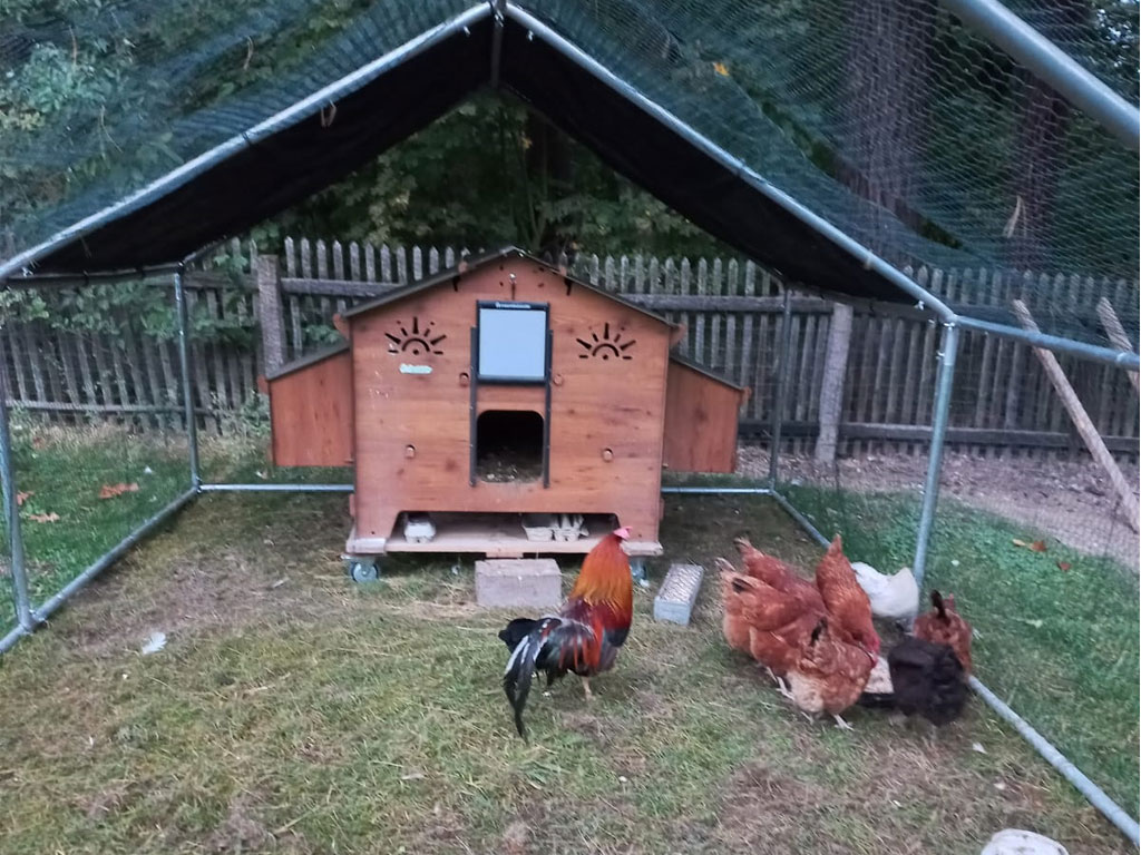 Kurník pro slepice POLLY CHALET 4XL