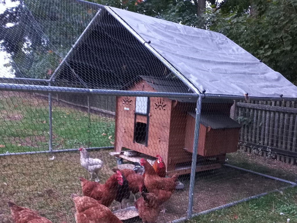 Kurník pro slepice POLLY CHALET 4XL