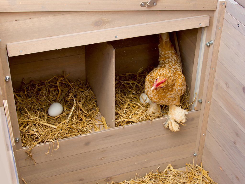 Kurník pro slepice KERBL EMMA