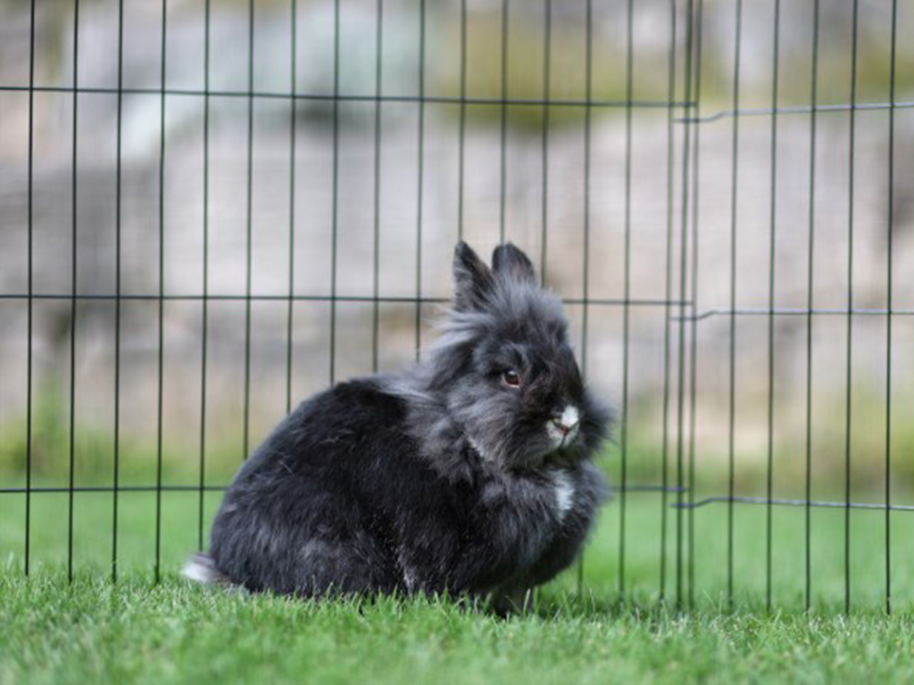 Výběh pro drůbež, králíky a štěňata osmistěnný KERBL 57x78 cm