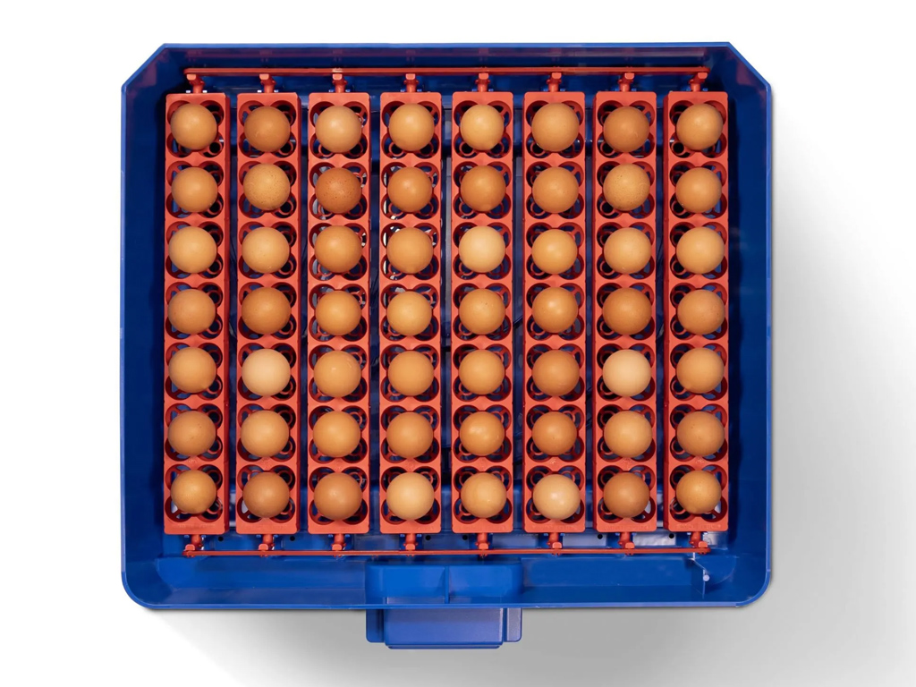 Automatická líheň na vejce BOROTTO LUMIA 56 AUTOMATIC