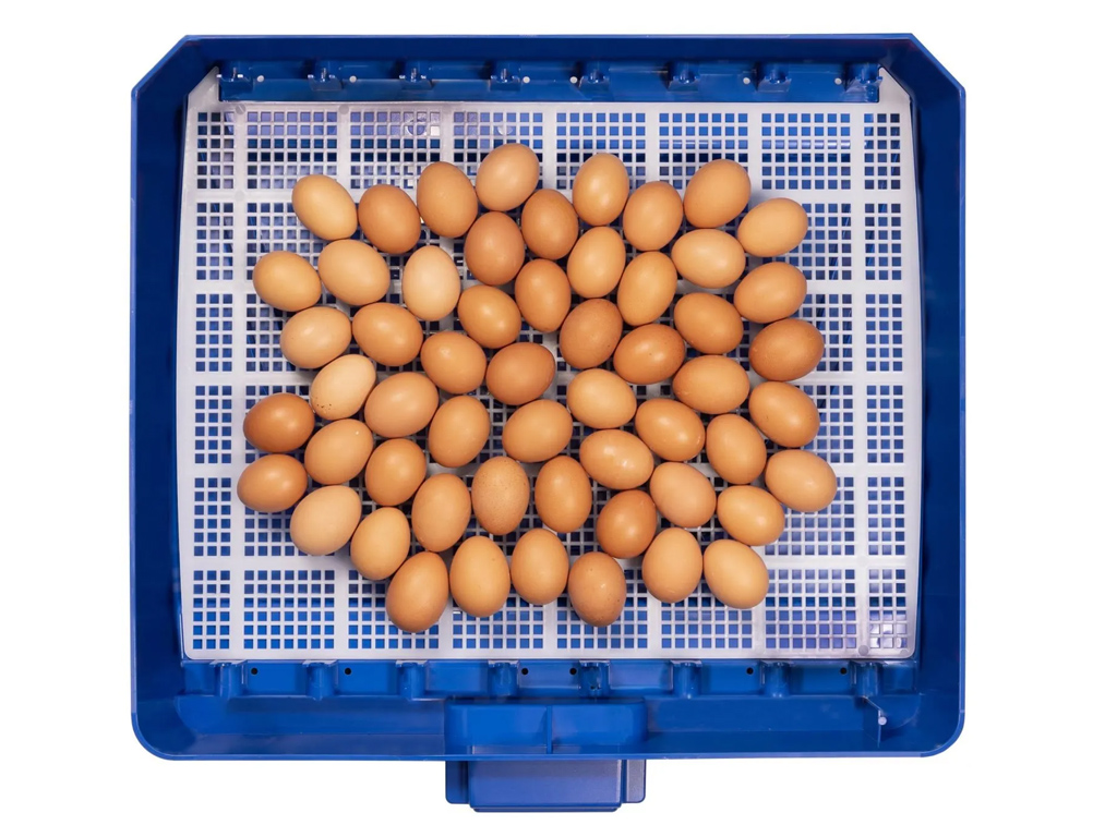 Automatická líheň na vejce BOROTTO LUMIA 56 AUTOMATIC