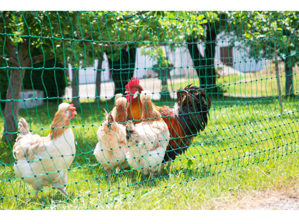Vodivá síť pro drůbež KERBL 106 cm x 50 m / 2 hroty