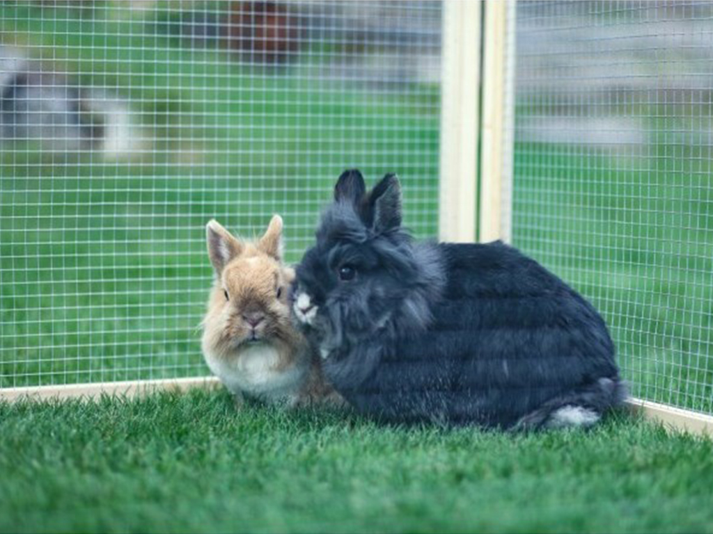 Výběh pro králíky, morčata a další hlodavce KERBL VARIO 120x60 cm