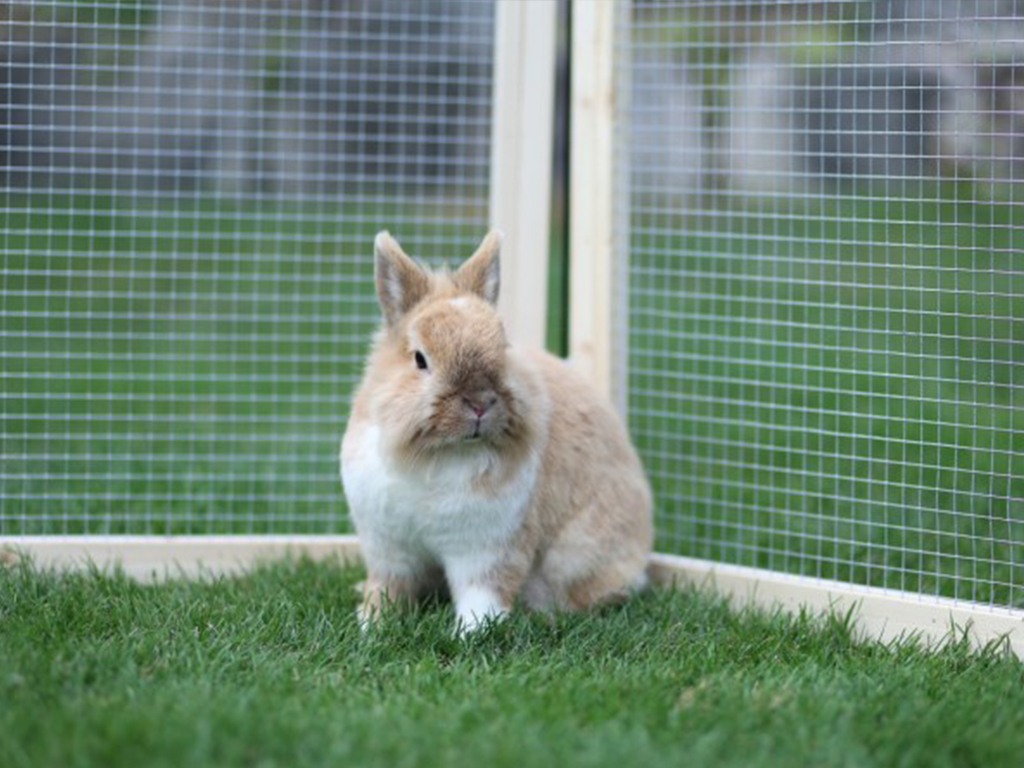 Výběh pro králíky, morčata a další hlodavce KERBL VARIO 120x60 cm