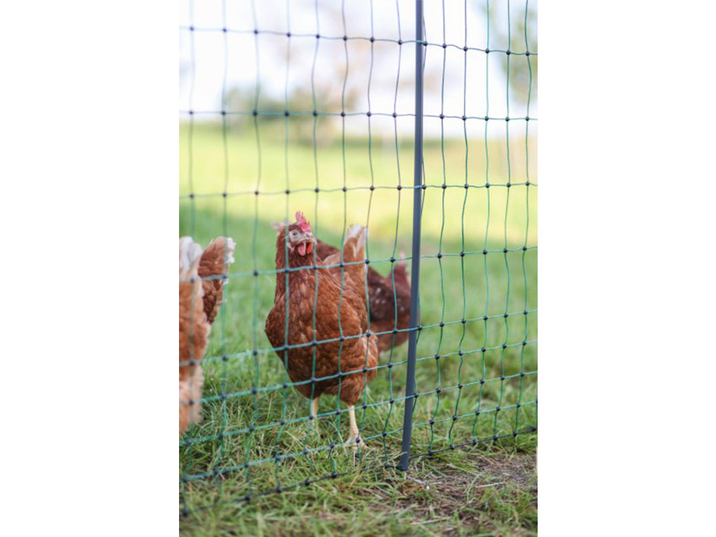 Nevodivá síť pro drůbež KERBL PREMIUM 122 cm x 50 m / 2 hroty