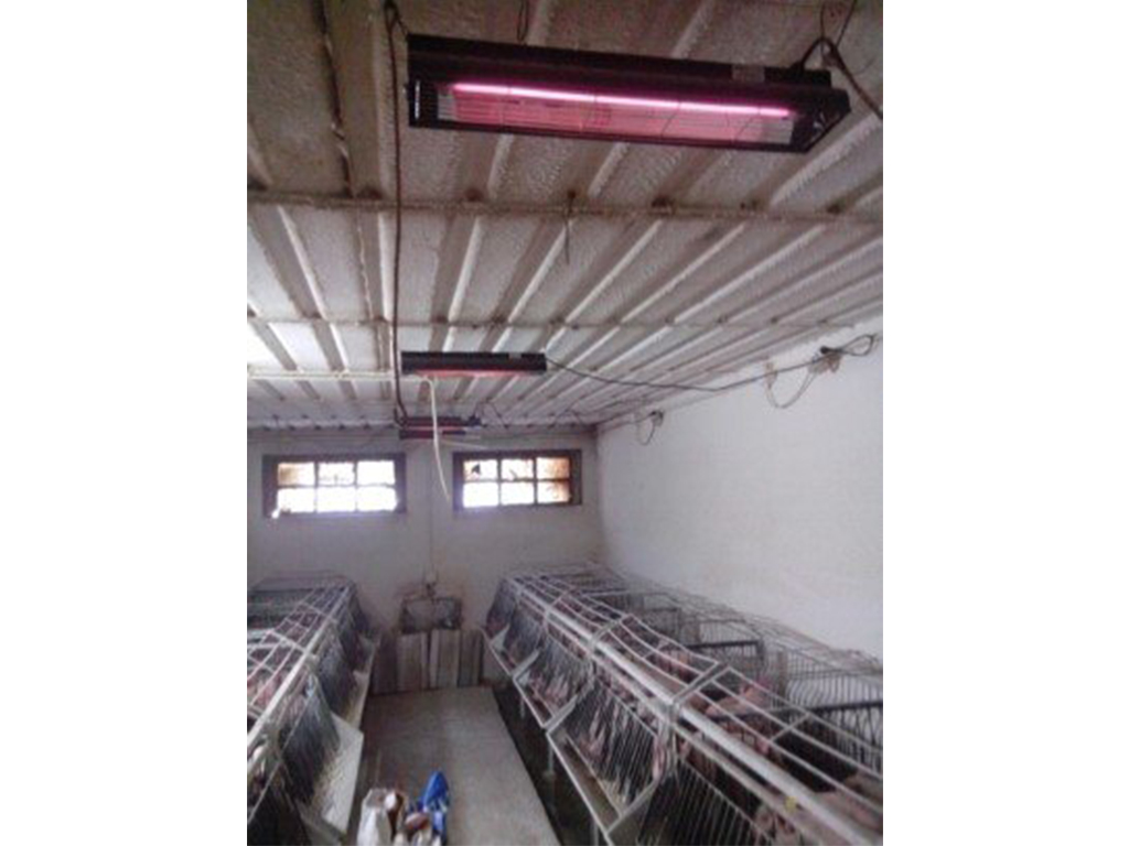 Infrazářič závěsný SYNER LCA 500 W pro kuřata, selata, hříbata, telata