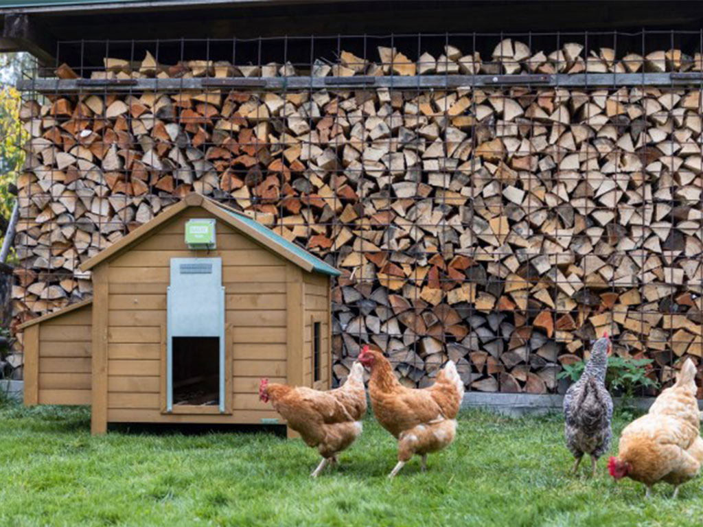 Automatické otevírání a zavírání kurníku KERBL BASIC