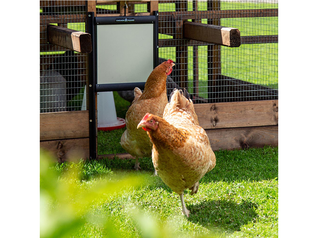 Komplet automatického otevírání a zavírání kurníku CHICKEN GUARD PRO 25x30