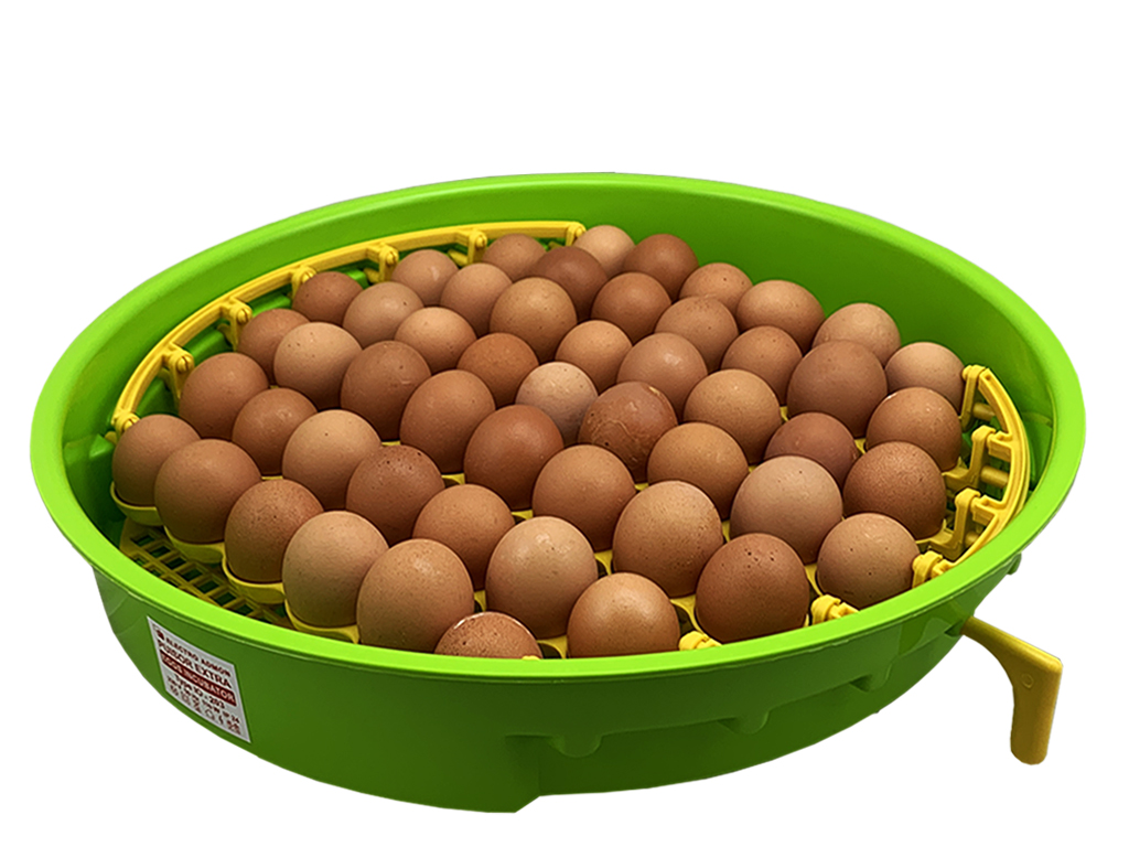 Líheň na vejce PUISOR IO-203