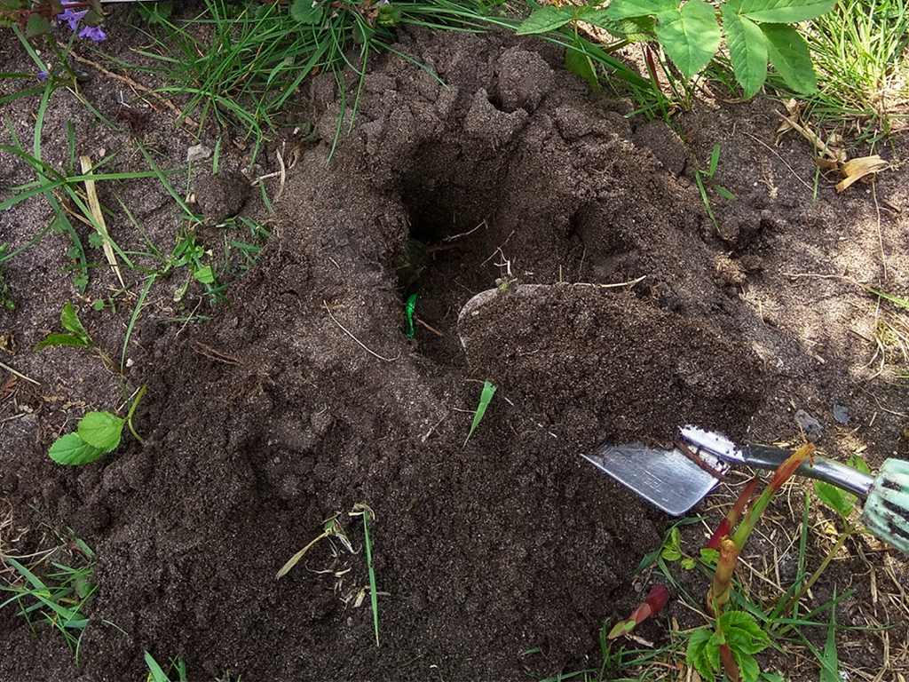 Pachový odpuzovač krtků KUNAGONE, set 2 ks