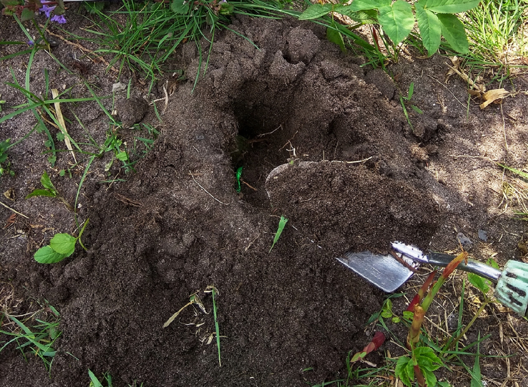 Pachový odpuzovač krtků KUNAGONE, set 10 ks