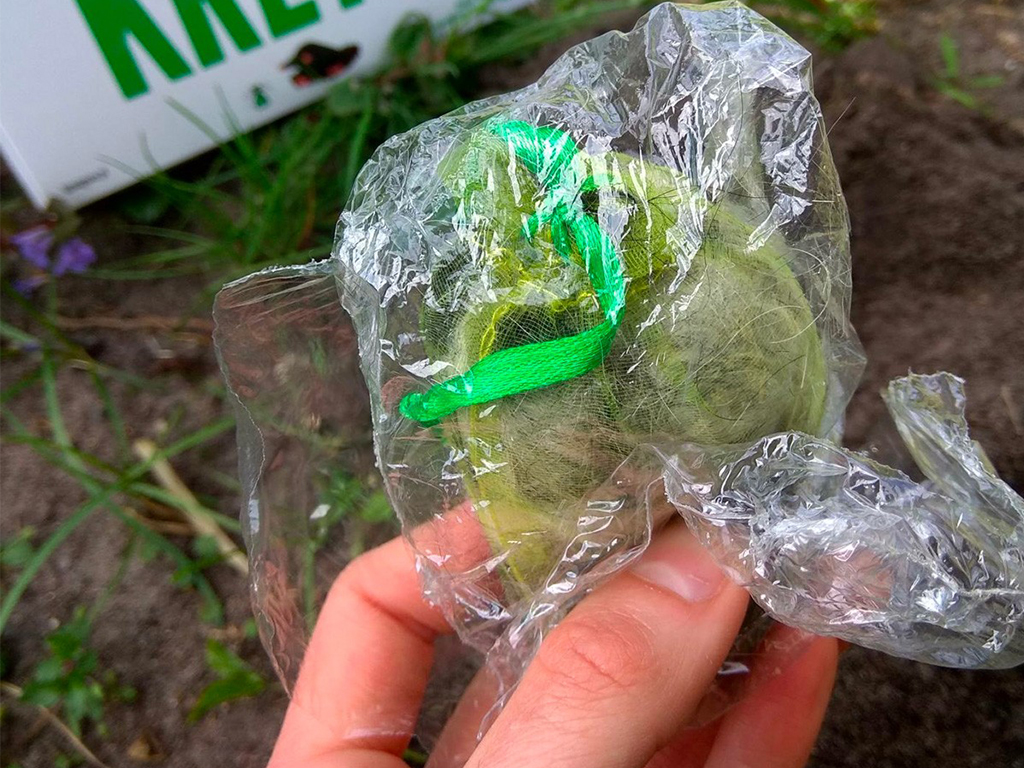 Pachový odpuzovač krtků KUNAGONE, set 10 ks