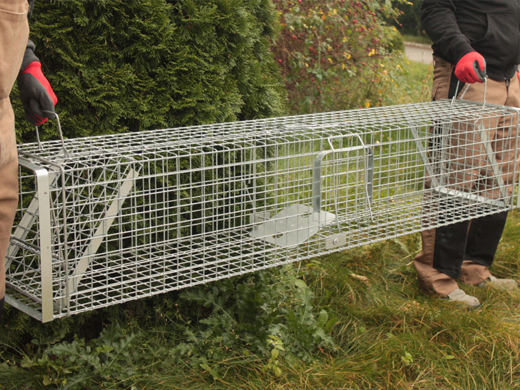 Profesionální past na lišky, kuny, vydry a kočky TRAP H150x34x34V2