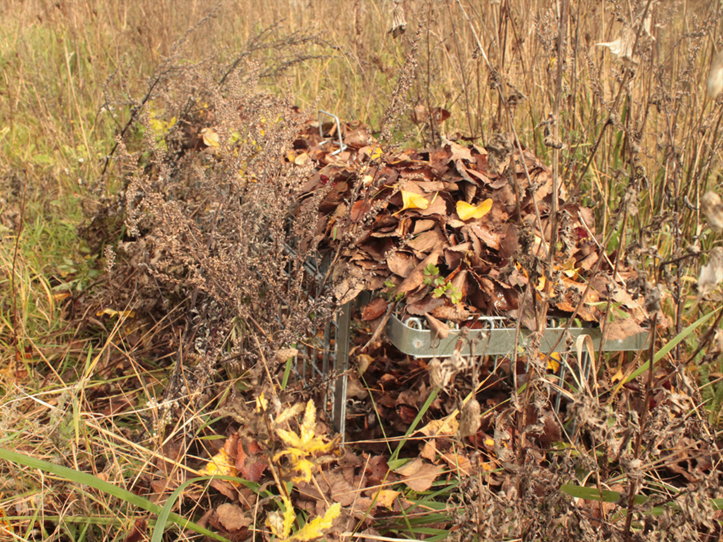 Profesionální past na kuny a kočky TRAP H102x26x30V2