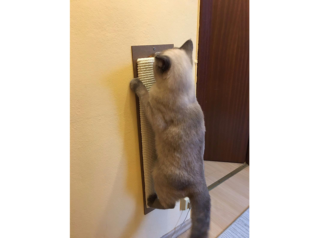 Škrabadlo pro kočky KERBL MAXI, sisalová škrabací podložka 70x17cm