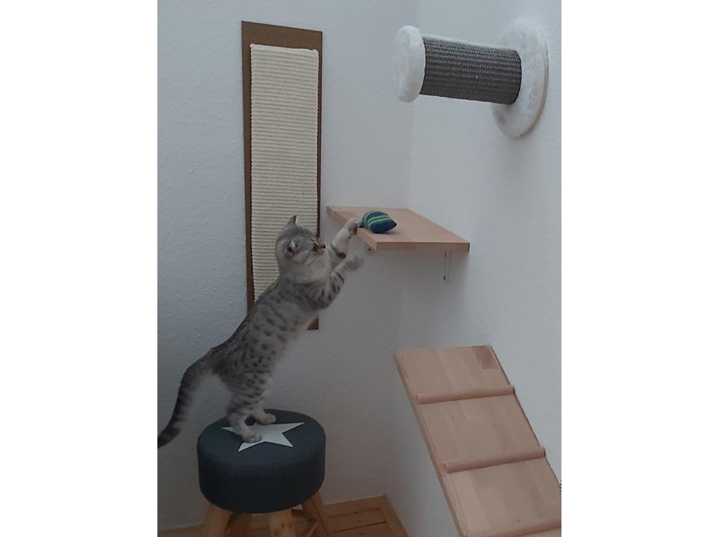 Škrabadlo pro kočky KERBL MAXI, sisalová škrabací podložka 70x17cm