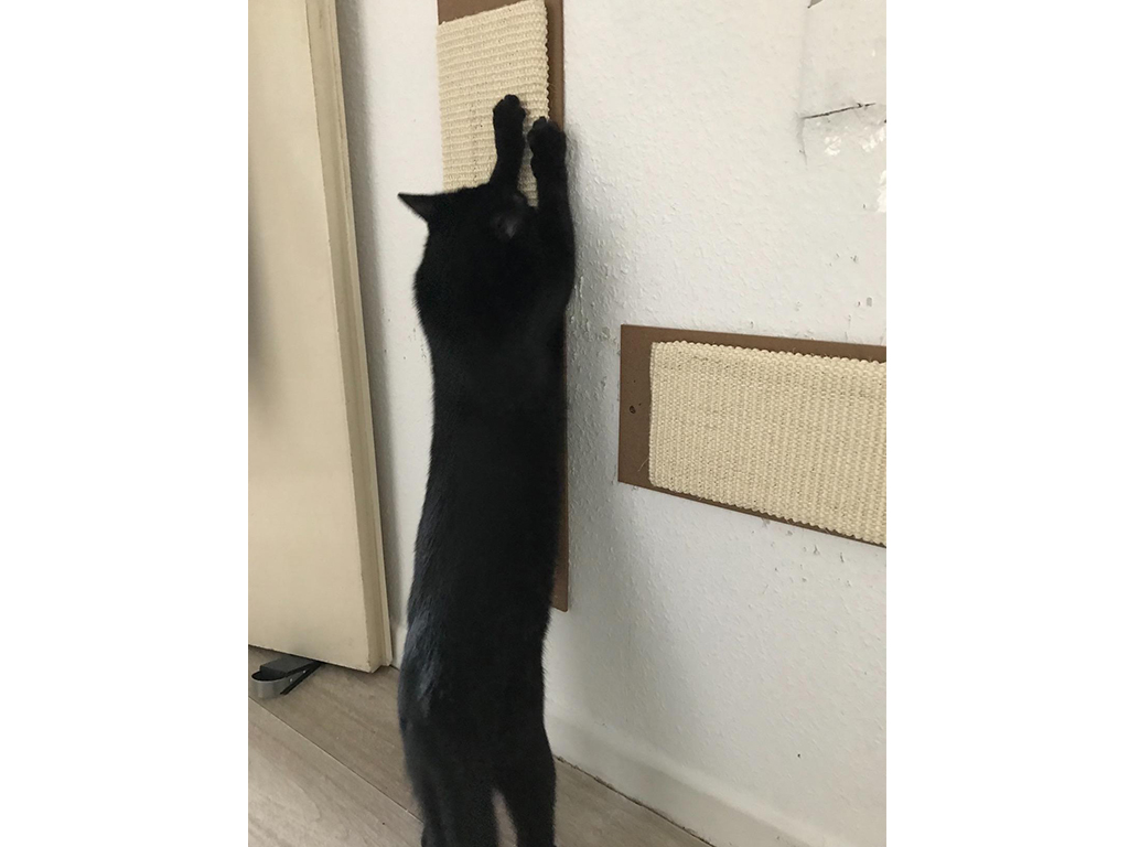 Škrabadlo pro kočky KERBL MAXI, sisalová škrabací podložka 70x17cm