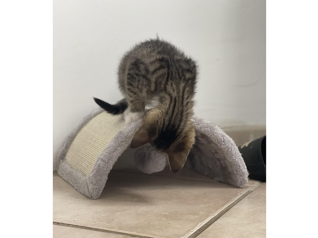 Škrabadlo pro kočky KERBL HALF MOON 26x22x11cm