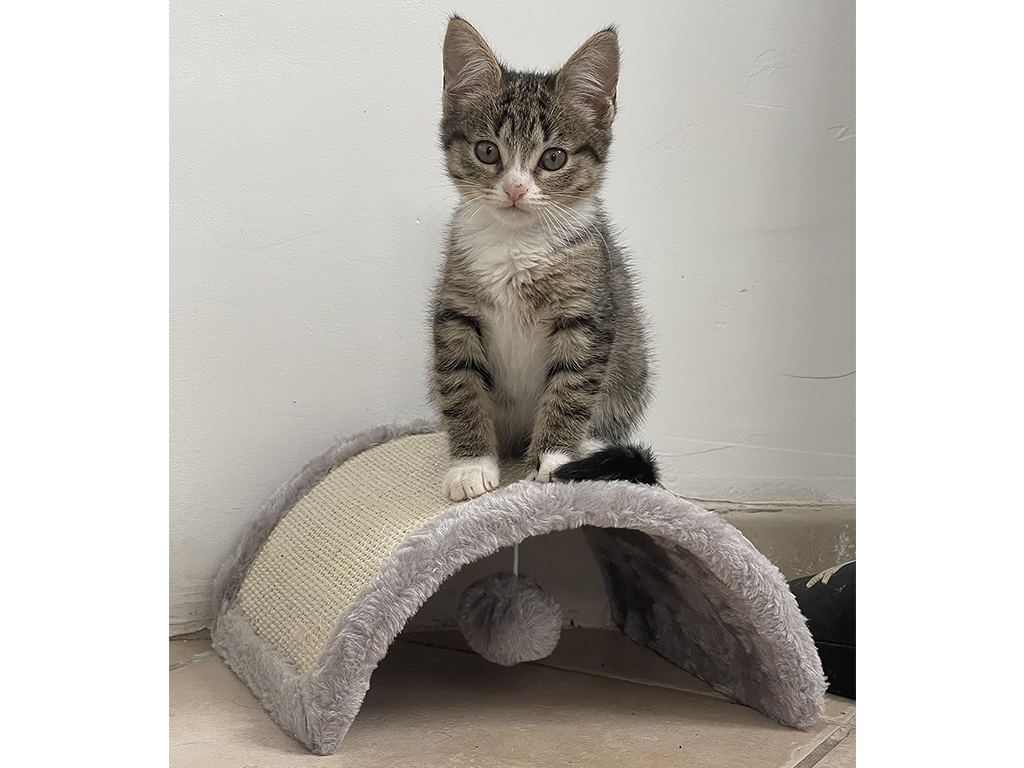 Škrabadlo pro kočky KERBL HALF MOON 26x22x11cm