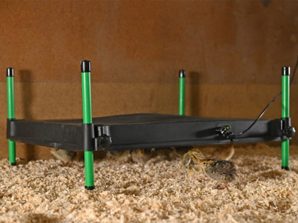 Umělá kvočna s termostatem KERBL COSYHEAT 40x50cm, 50W