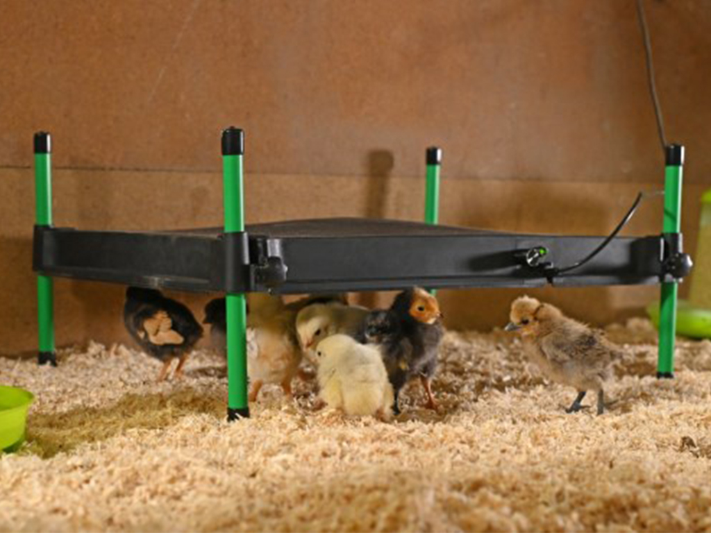 Umělá kvočna s termostatem KERBL COSYHEAT 40x50cm, 50W