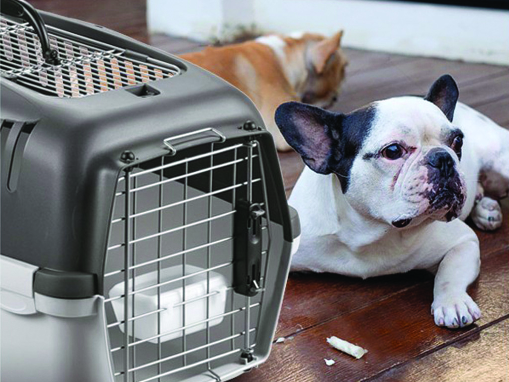 Přepravka pro psy a kočky STEFANPLAST GULLIVER 3 DELUXE TOP FREE, 61x40x38cm