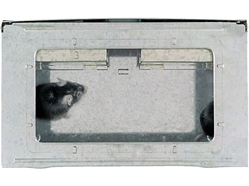 Past na myši domečková AGF obdélníková, s průhledným krytem