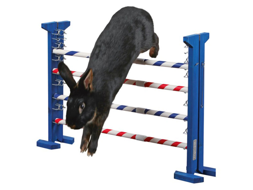 Agility vysoká překážka pro králíky a jiné hlodavce KERBL KOMBO JUMP 49x62cm