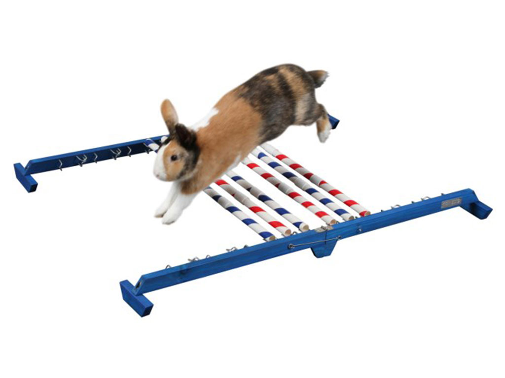 Agility vysoká překážka pro králíky a jiné hlodavce KERBL KOMBO JUMP 49x62cm