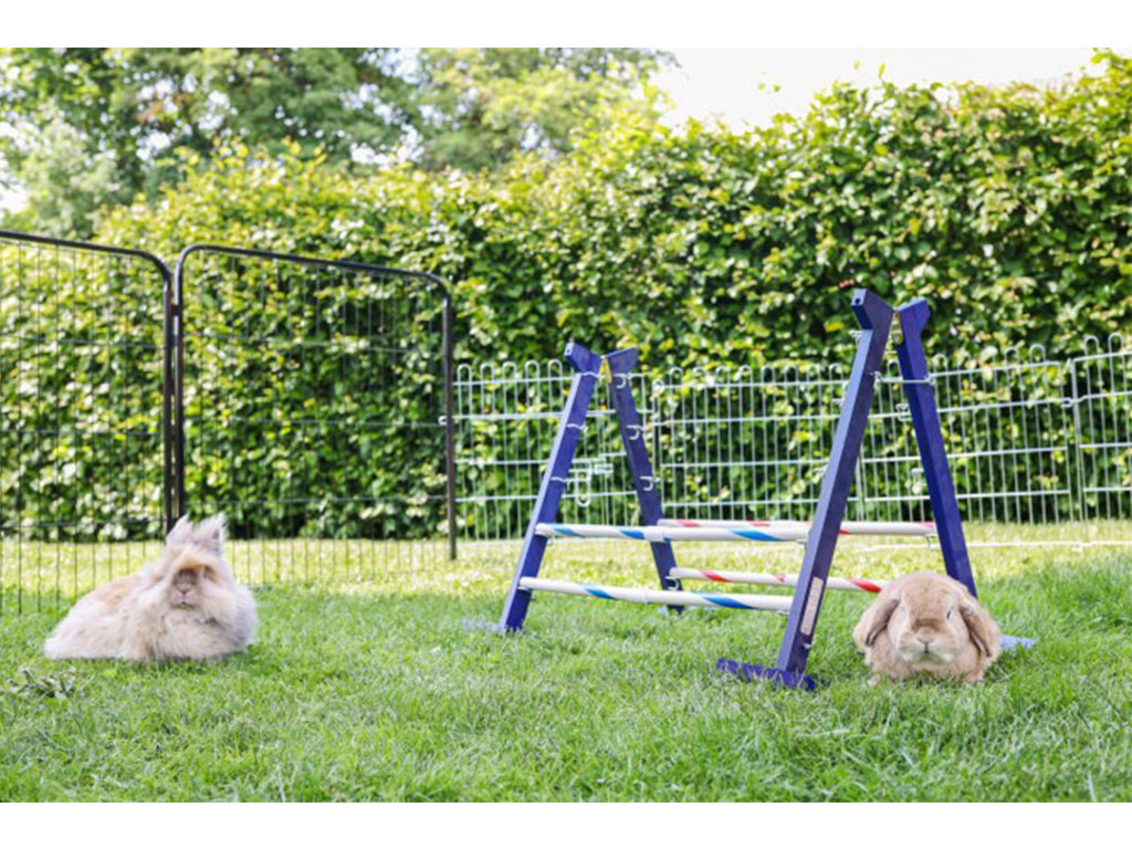 Agility vysoká překážka pro králíky a jiné hlodavce KERBL KOMBO JUMP 49x62cm