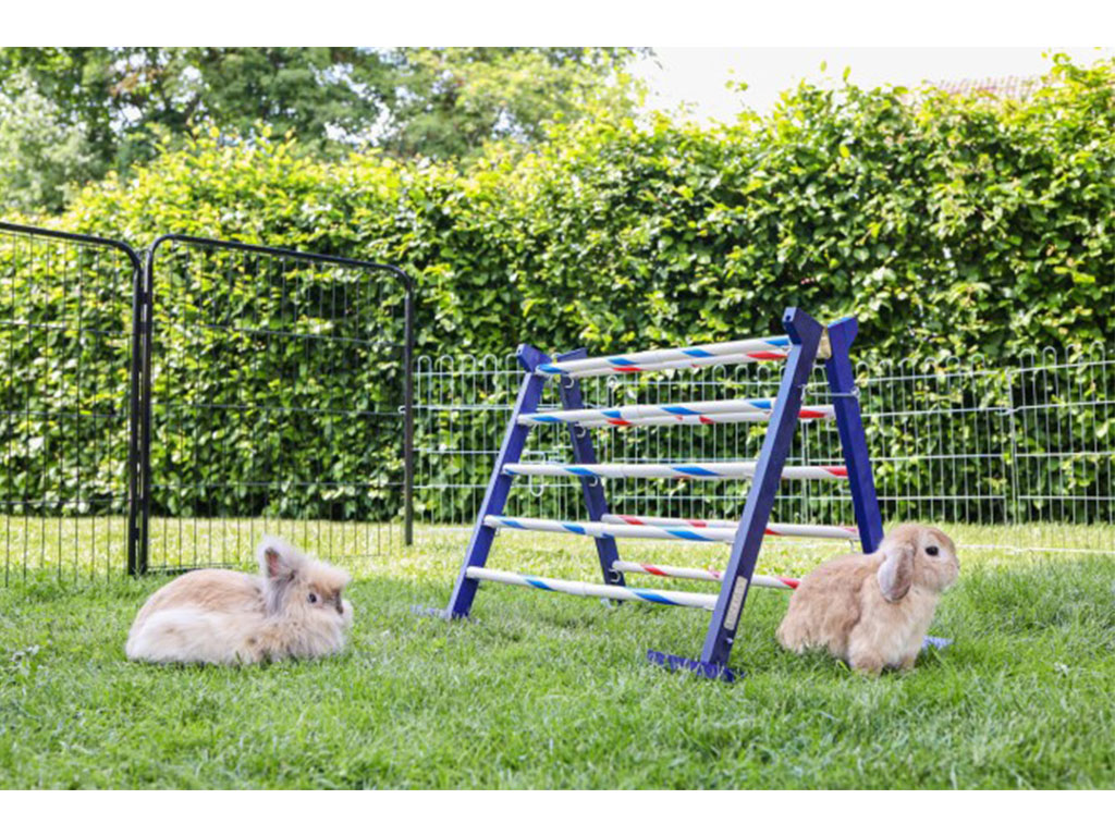 Agility vysoká překážka pro králíky a jiné hlodavce KERBL KOMBO JUMP 49x62cm