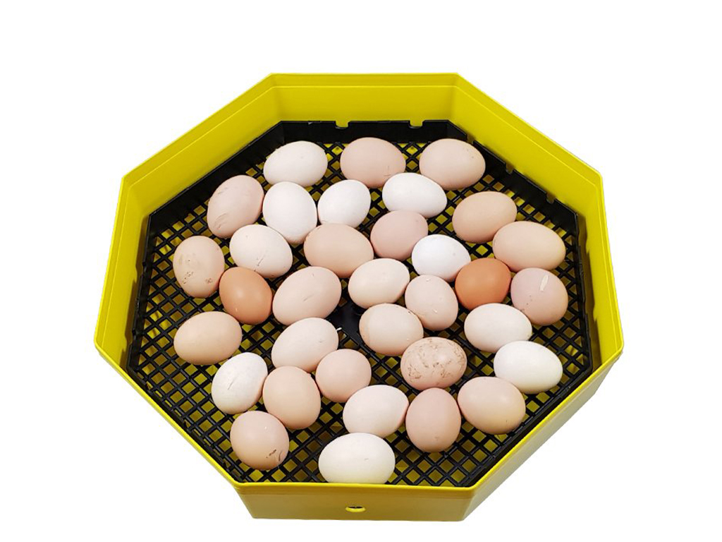 Líheň na vejce CLEO 5 TH