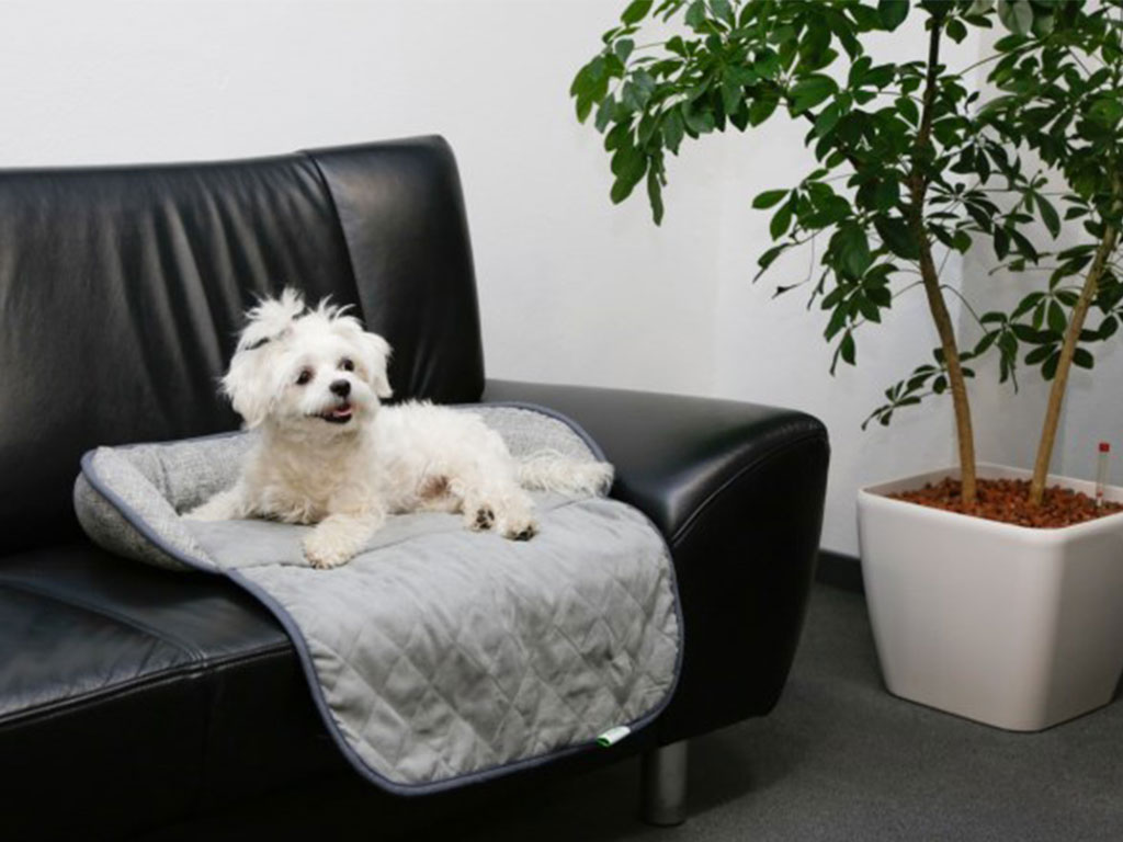 Pelíšek pro psy a kočky KERBL EMALIA 60x40x12 cm