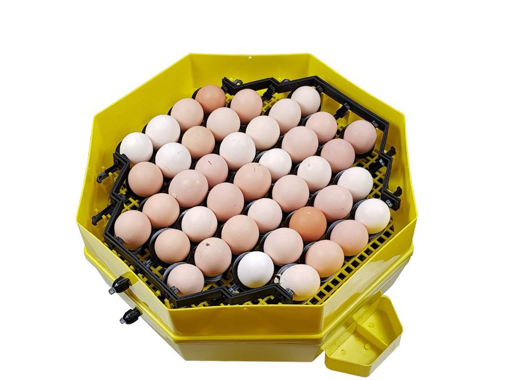 Líheň na vejce CLEO 5x2 DTH