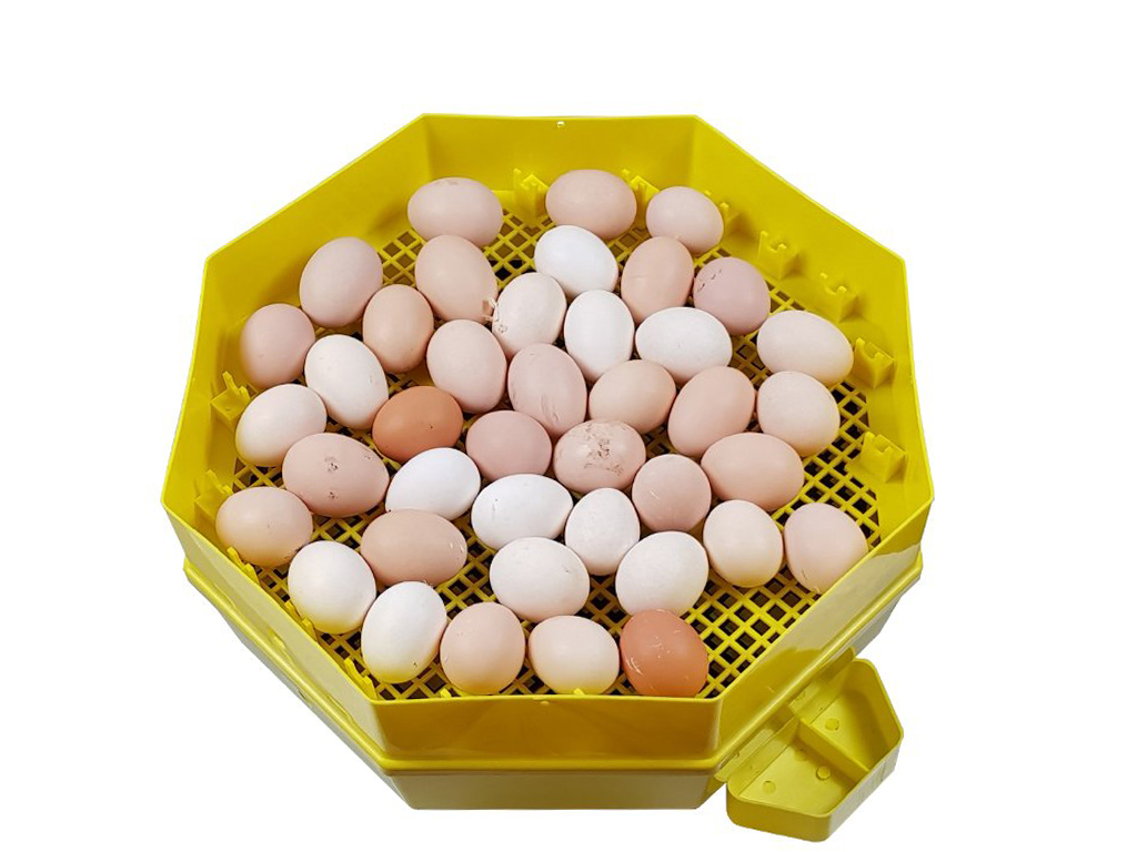 Líheň na vejce CLEO 5x2 DTH