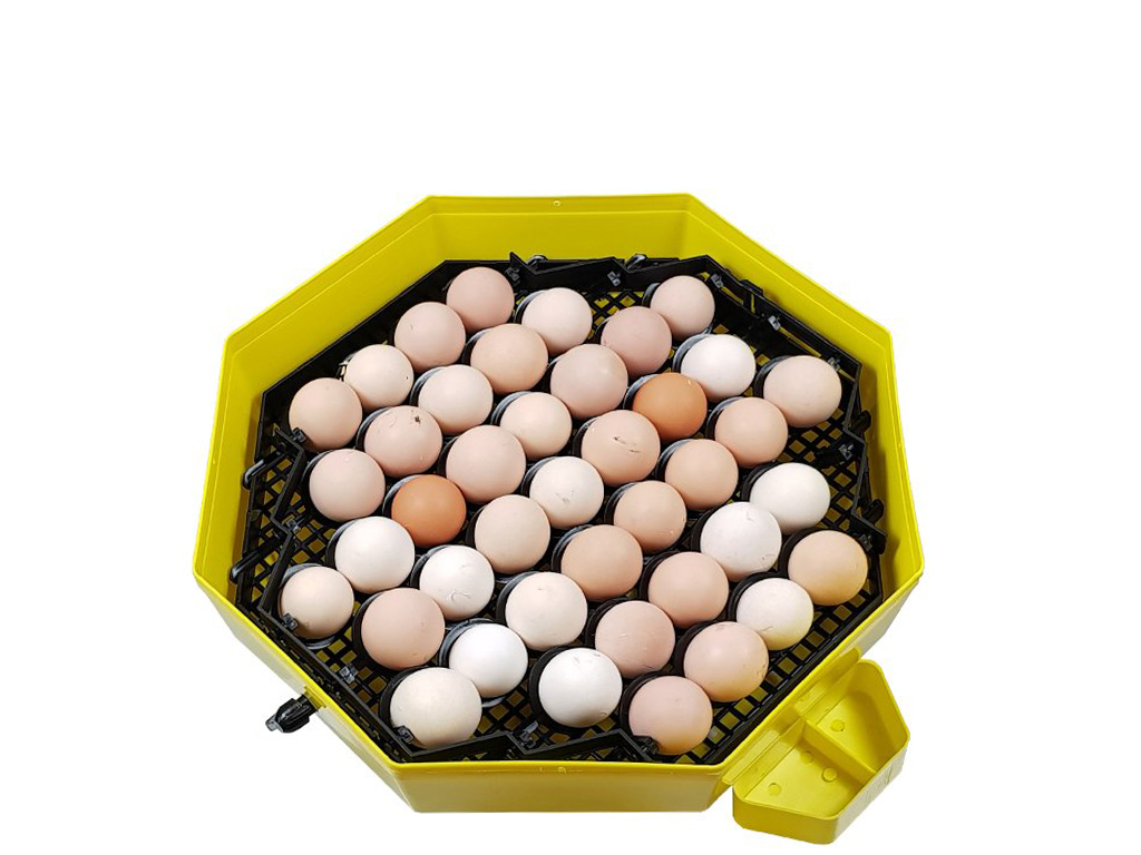 Líheň na vejce CLEO 5x2 DTH