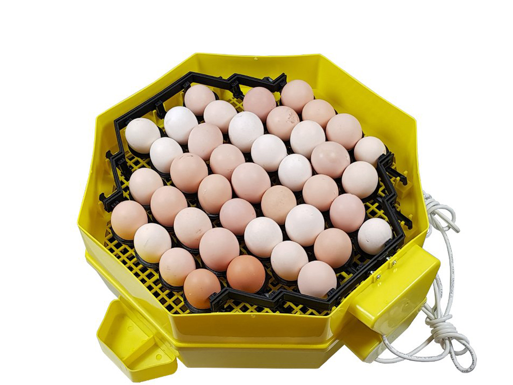 Automatická líheň na vejce CLEO 5x2 DTH AUTOMATIC